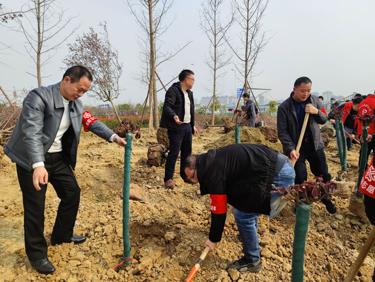 達坤公司組織參加“我為綿州植棵樹，共建綠美科技城”義務(wù)植樹活動